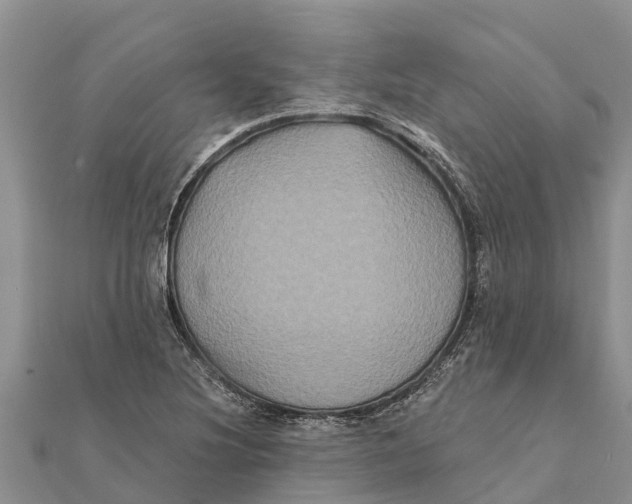 X0000112001220200908241426