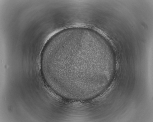 X0000112001222200908241426