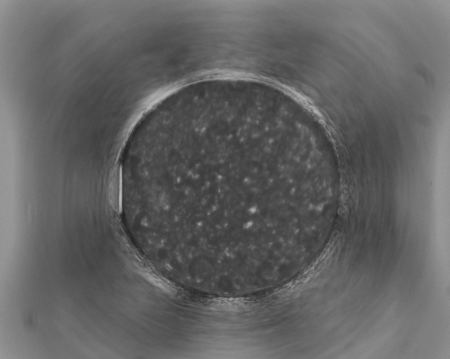 X0000112001223200908241426