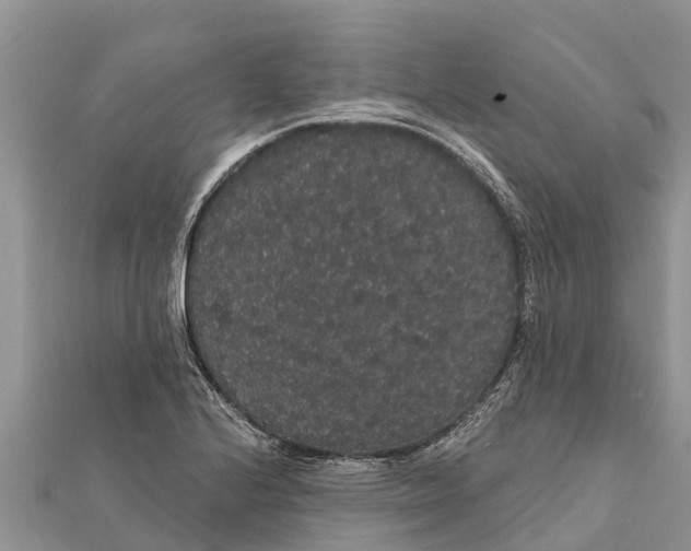 X0000112001224200908241426