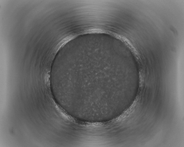 X0000112001225200908241426