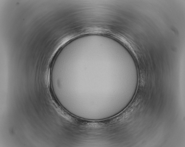 X0000112001227200908241426