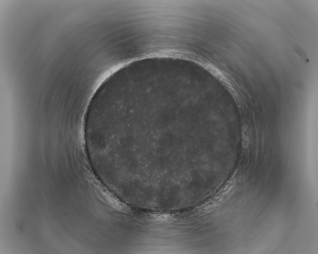 X0000112001230200908241426