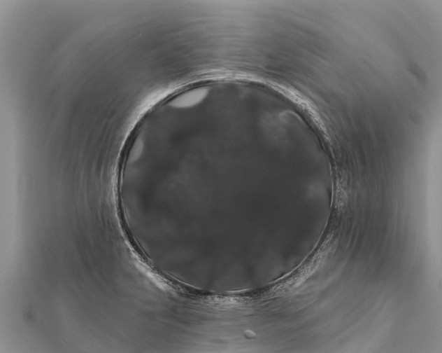 X0000112001231200908241426