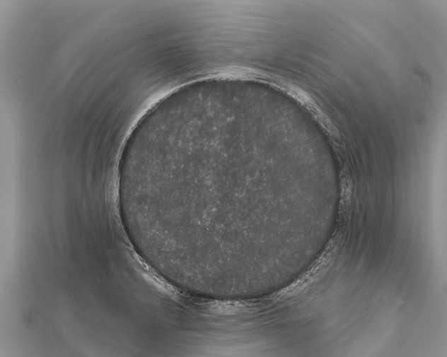 X0000112001232200908241426