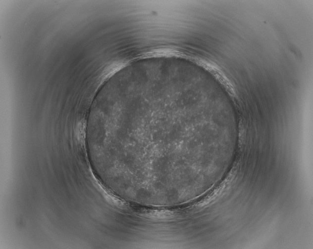 X0000112001233200908241426