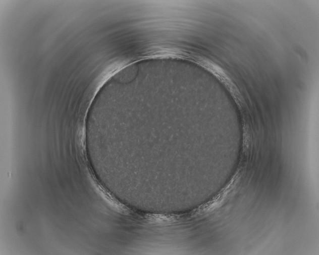 X0000112001234200908241426