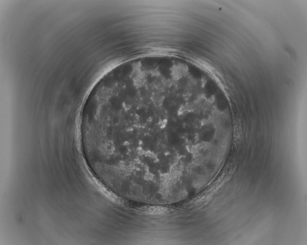 X0000112001235200908241426