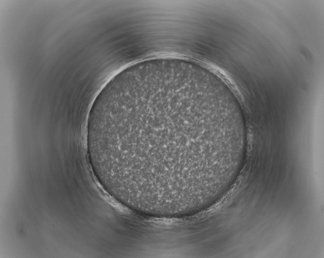 X0000112001236200908241426