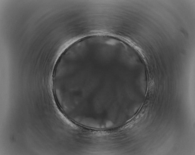 X0000112001239200908241426