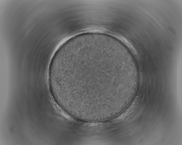 X0000112001240200908241426