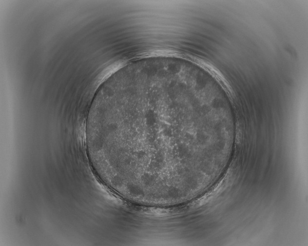 X0000112001241200908241426