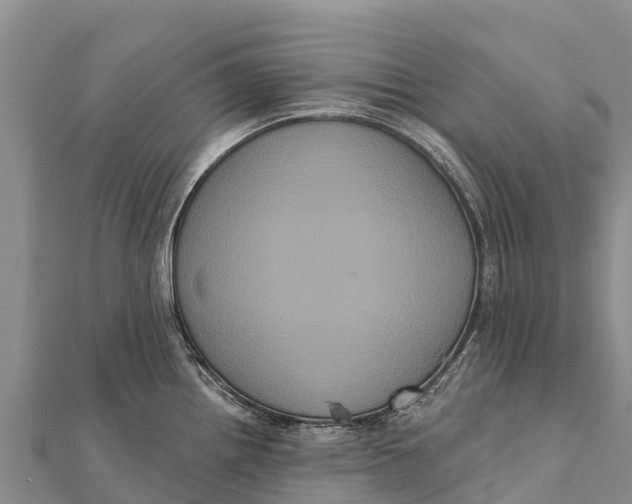 X0000112001242200908241426