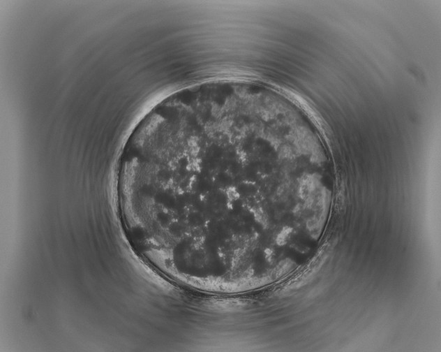 X0000112001243200908241426