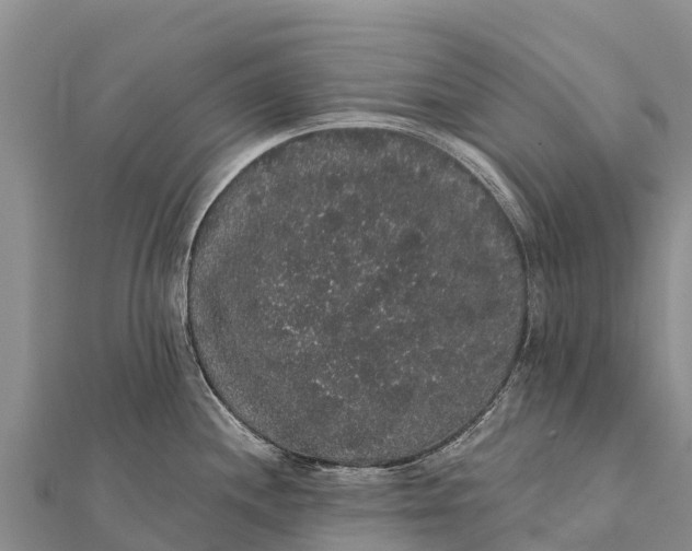 X0000112001244200908241426