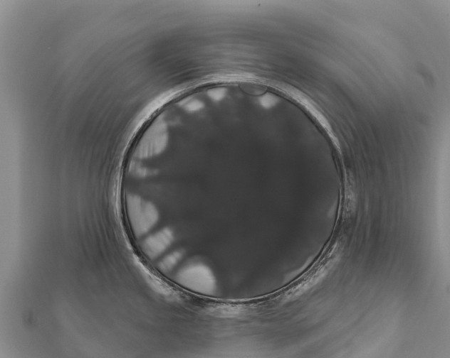 X0000112001245200908241426