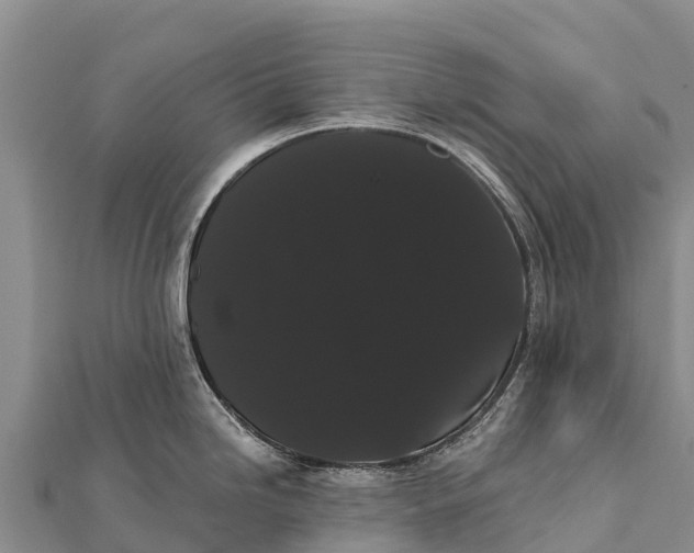 X0000112001246200908241426