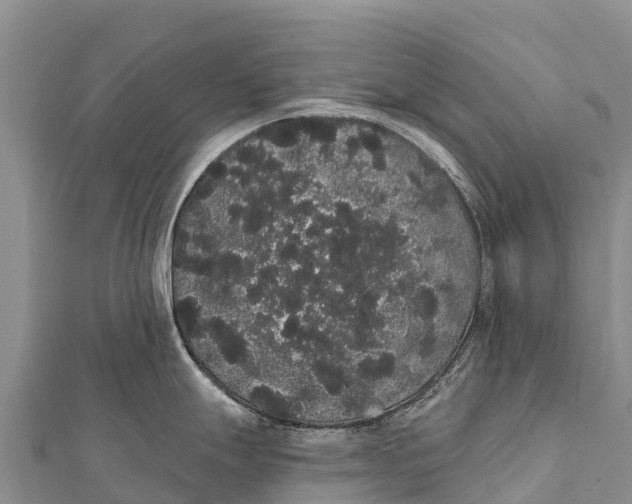 X0000112001247200908241426