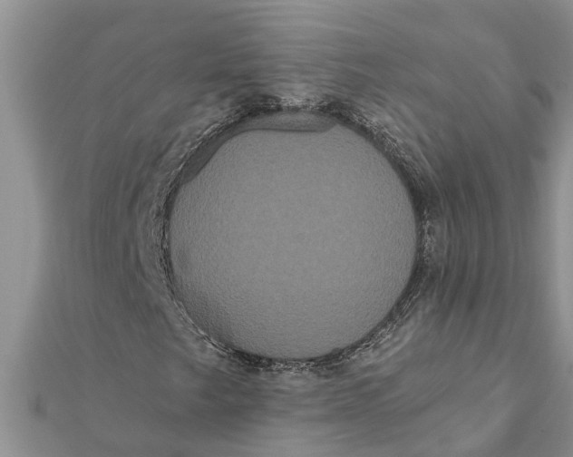 X0000112001249200908241425