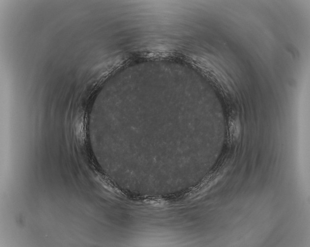 X0000112001250200908241425