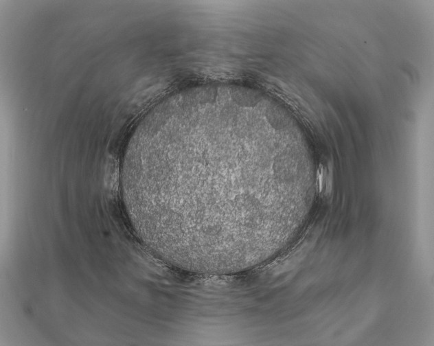 X0000112001251200908241425