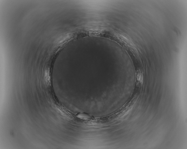 X0000112001252200908241425