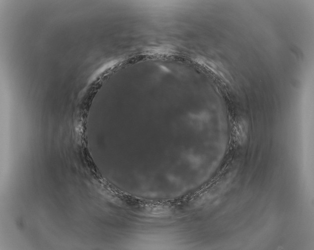 X0000112001254200908241425