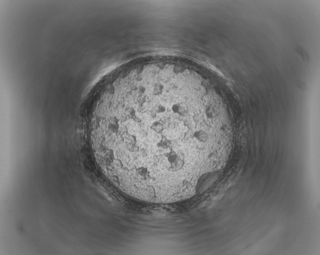 X0000112001255200908241425