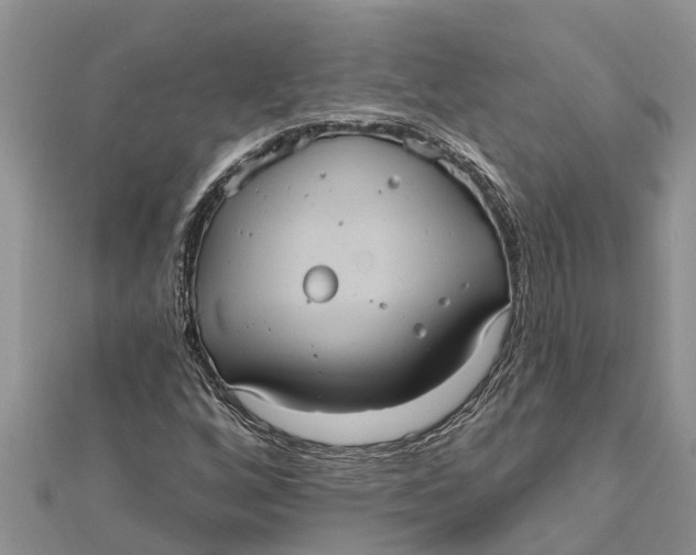 X0000112001256200908241425