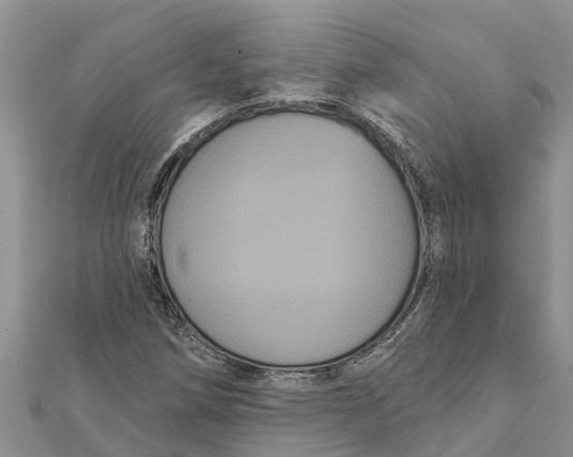 X0000112001258200908241425