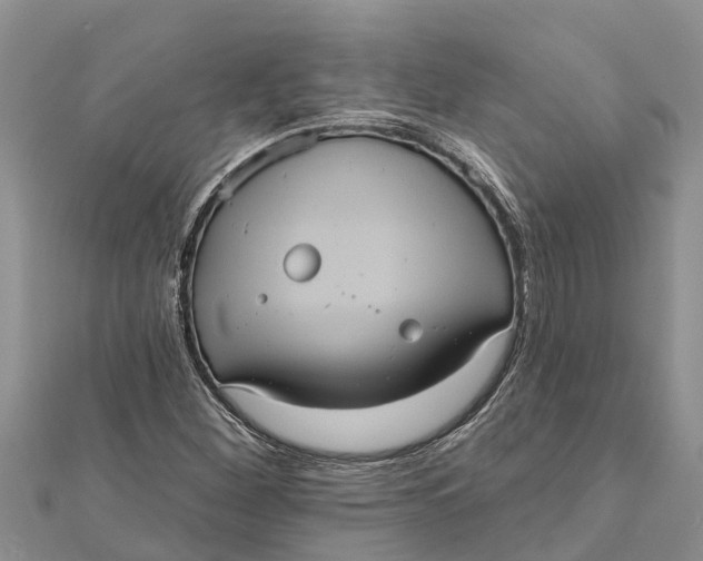 X0000112001260200908241425