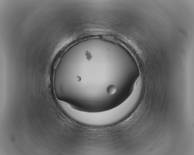 X0000112001261200908241425