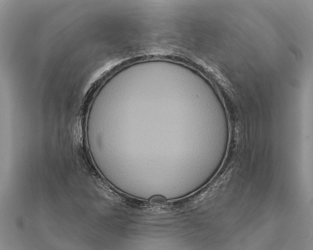 X0000112001262200908241425