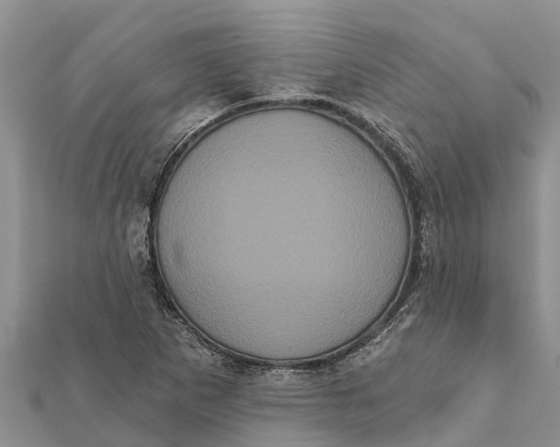 X0000112001265200908241425