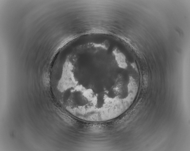 X0000112001266200908241425