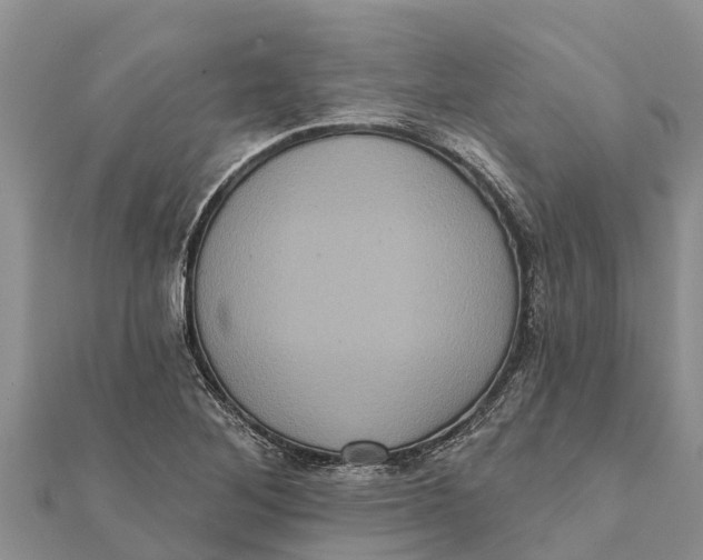 X0000112001268200908241425