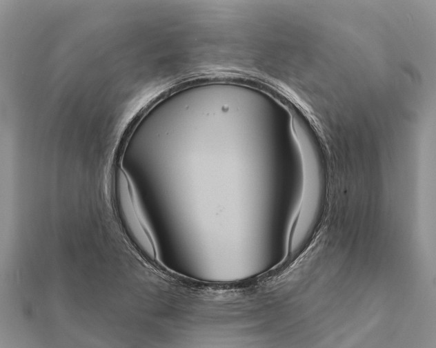 X0000112001269200908241425