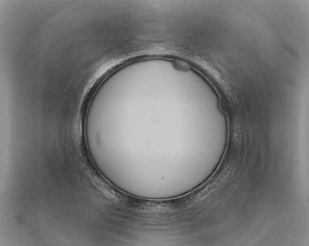 X0000112001270200908241425