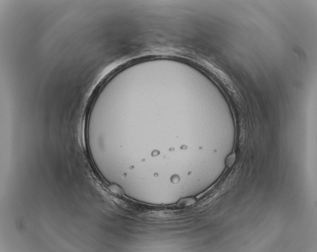 X0000112001272200908241425