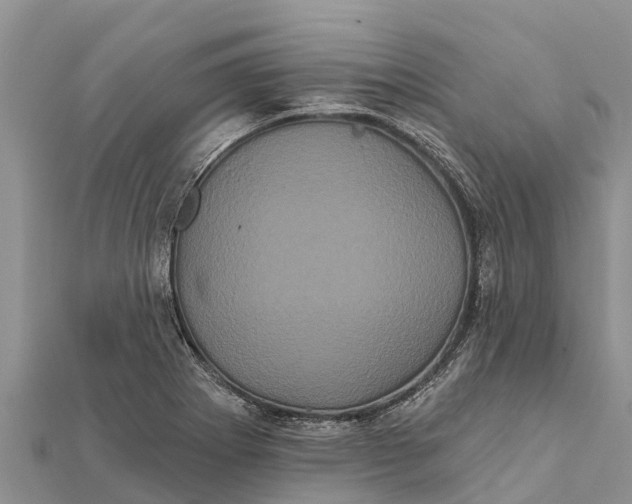 X0000112001273200908241425