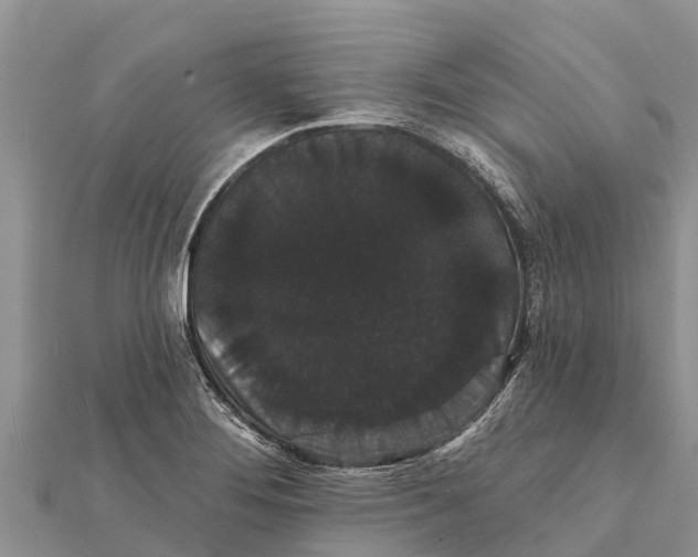 X0000112001276200908241425