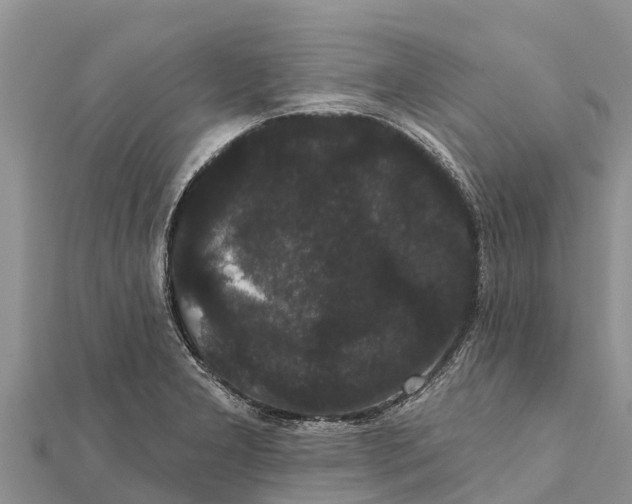 X0000112001277200908241425