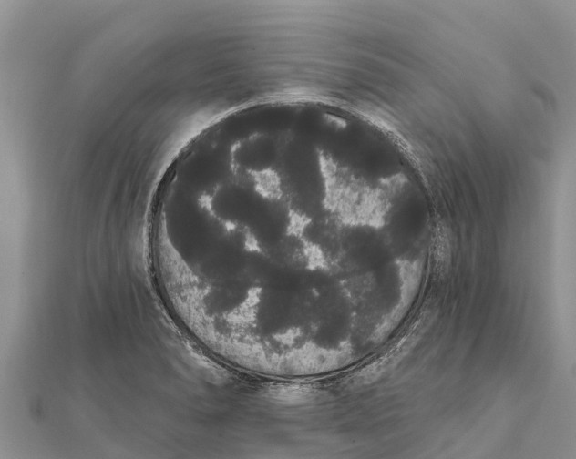 X0000112001278200908241425