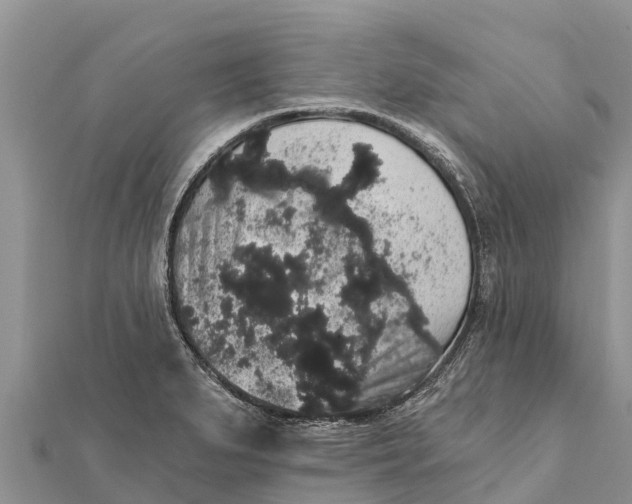 X0000112001279200908241425