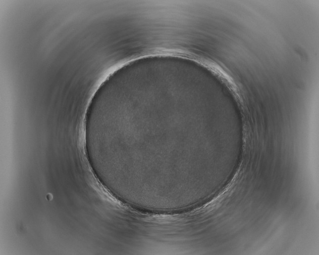 X0000112001280200908241425