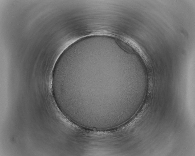 X0000112001284200908241425