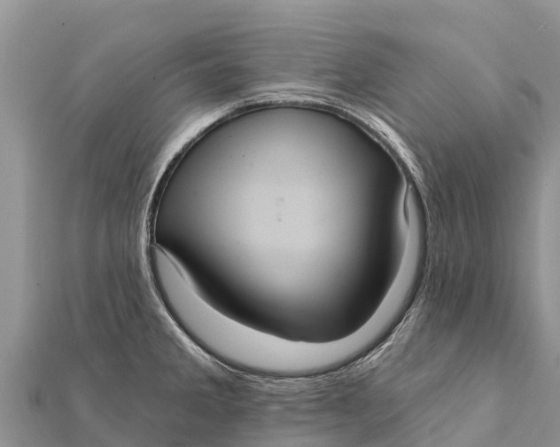 X0000112001285200908241425