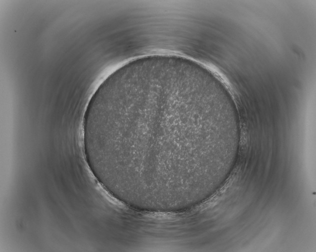 X0000112001287200908241425