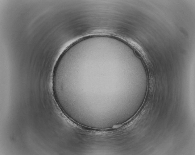 X0000112001288200908241425