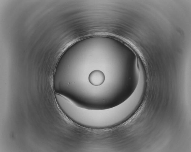 X0000112001289200908241425